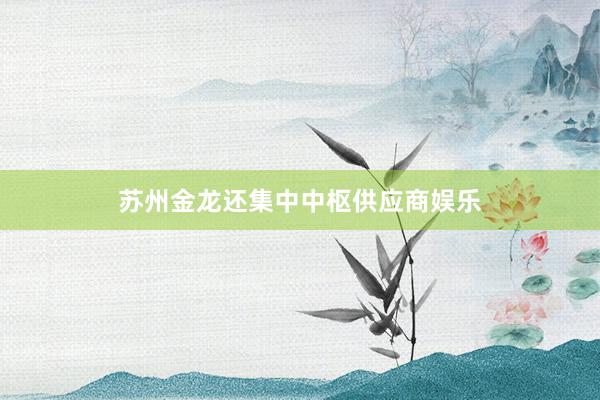 苏州金龙还集中中枢供应商娱乐