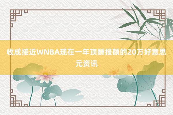 收成接近WNBA现在一年顶酬报额的20万好意思元资讯