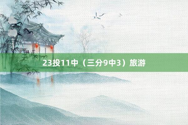 23投11中（三分9中3）旅游