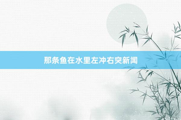 那条鱼在水里左冲右突新闻