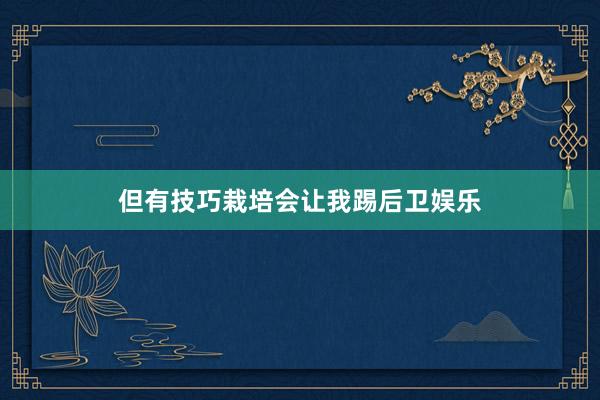 但有技巧栽培会让我踢后卫娱乐