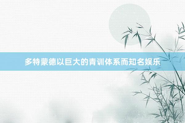 多特蒙德以巨大的青训体系而知名娱乐