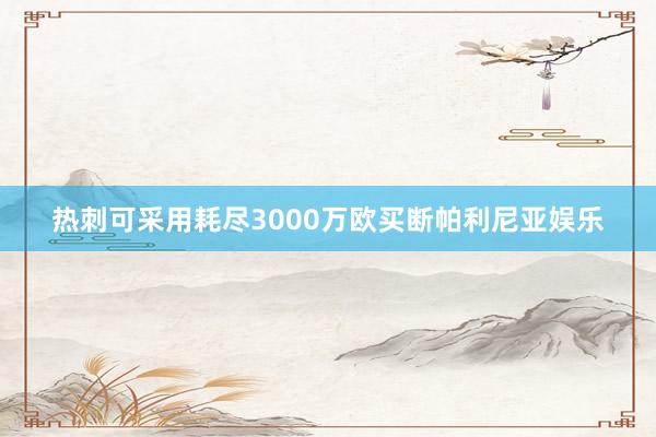 热刺可采用耗尽3000万欧买断帕利尼亚娱乐