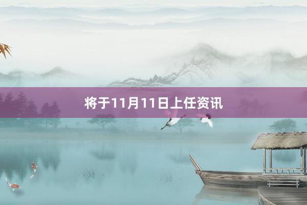 将于11月11日上任资讯