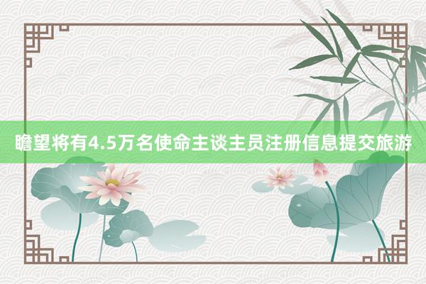 瞻望将有4.5万名使命主谈主员注册信息提交旅游
