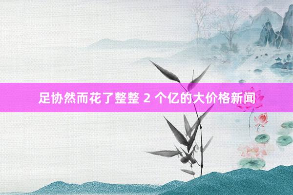 足协然而花了整整 2 个亿的大价格新闻