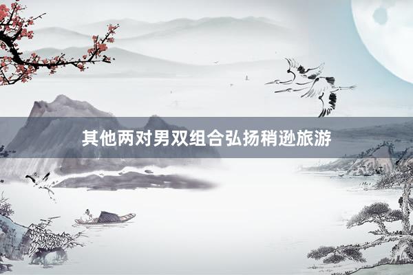 其他两对男双组合弘扬稍逊旅游